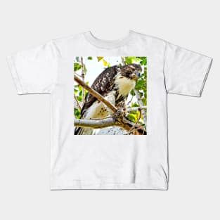 Red Tailed Hawk Kids T-Shirt